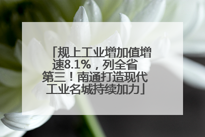 规上工业增加值增速8.1%，列全省第三！南通打造现代工业名城持续加力
