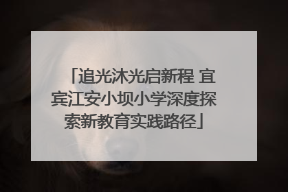 追光沐光启新程 宜宾江安小坝小学深度探索新教育实践路径
