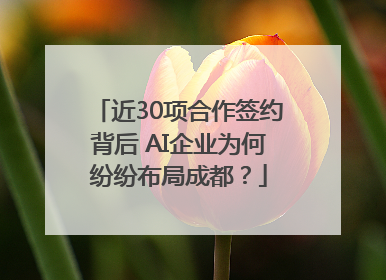近30项合作签约背后 AI企业为何纷纷布局成都？