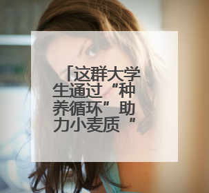 这群大学生通过“种养循环”助力小麦质“升”量“高”