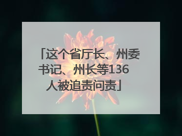 这个省厅长、州委书记、州长等136人被追责问责