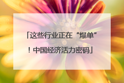 这些行业正在“爆单”！中国经济活力密码