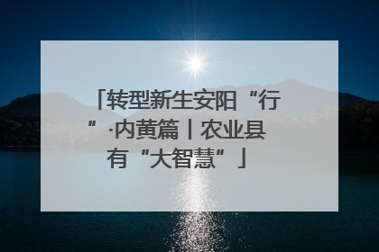 转型新生安阳“行”·内黄篇丨农业县有“大智慧”