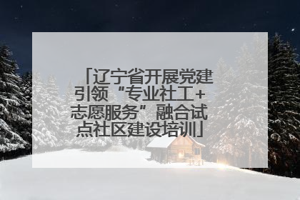 辽宁省开展党建引领“专业社工+志愿服务”融合试点社区建设培训