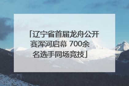 辽宁省首届龙舟公开赛浑河启幕 700余名选手同场竞技