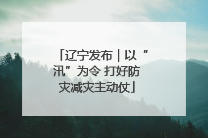 辽宁发布｜以“汛”为令 打好防灾减灾主动仗
