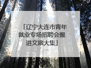 辽宁大连市青年就业专场招聘会搬进文旅大集