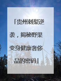 贵州刺梨逆袭，揭秘野果变身健康奢侈品的密码