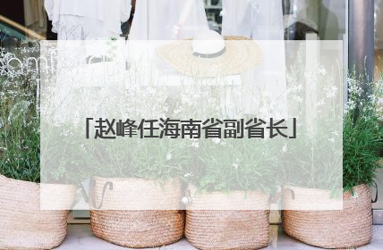 赵峰任海南省副省长