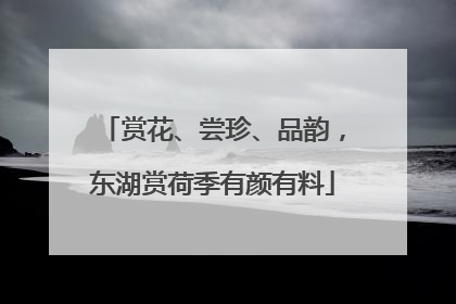 赏花、尝珍、品韵，东湖赏荷季有颜有料