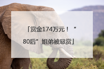 赏金174万元！“80后”姐弟被悬赏