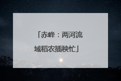 赤峰：两河流域稻农插秧忙