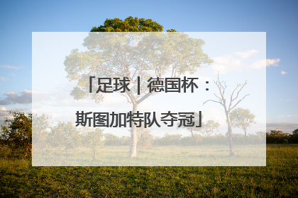足球｜德国杯：斯图加特队夺冠