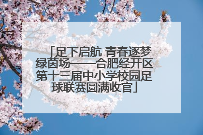 足下启航 青春逐梦绿茵场——合肥经开区第十三届中小学校园足球联赛圆满收官