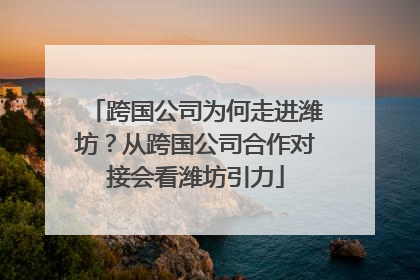 跨国公司为何走进潍坊？从跨国公司合作对接会看潍坊引力