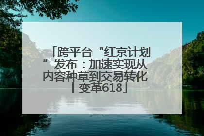 跨平台“红京计划”发布：加速实现从内容种草到交易转化丨变革618