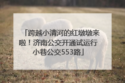 跨越小清河的红墩墩来啦！济南公交开通试运行小巷公交553路