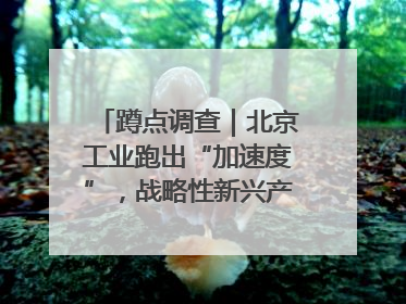 蹲点调查｜北京工业跑出“加速度”，战略性新兴产业何以爆发？