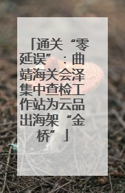 通关“零延误”：曲靖海关会泽集中查检工作站为云品出海架“金桥”