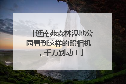 逛南苑森林湿地公园看到这样的照相机，千万别动！