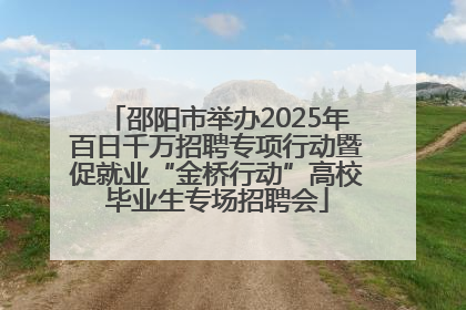 邵阳市举办2025年百日千万招聘专项行动暨促就业“金桥行动”高校毕业生专场招聘会