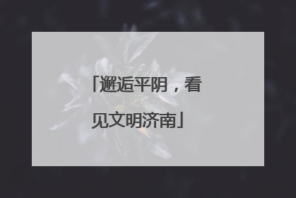 邂逅平阴，看见文明济南
