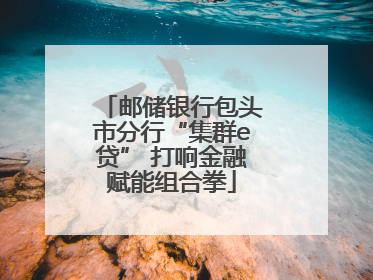 邮储银行包头市分行“集群e贷” 打响金融赋能组合拳