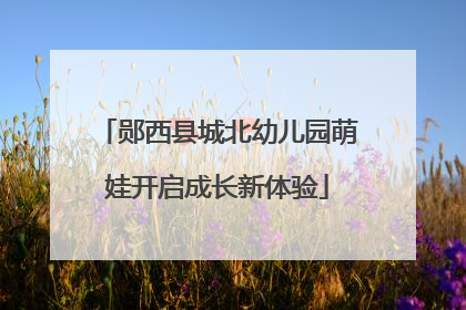 郧西县城北幼儿园萌娃开启成长新体验