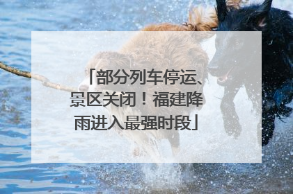 部分列车停运、景区关闭！福建降雨进入最强时段
