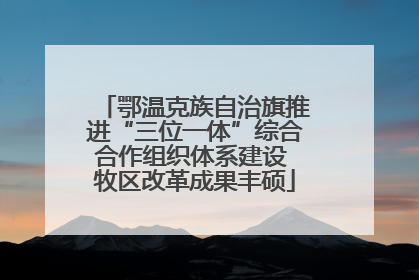 鄂温克族自治旗推进“三位一体”综合合作组织体系建设 牧区改革成果丰硕