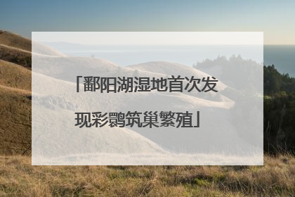 鄱阳湖湿地首次发现彩鹮筑巢繁殖