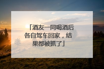 酒友一同喝酒后各自驾车回家，结果都被抓了