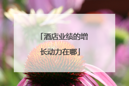 酒店业绩的增长动力在哪