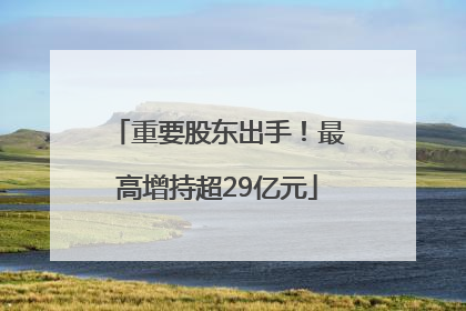 重要股东出手！最高增持超29亿元