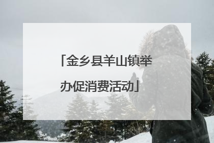 金乡县羊山镇举办促消费活动