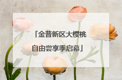 金普新区大樱桃自由尝享季启幕