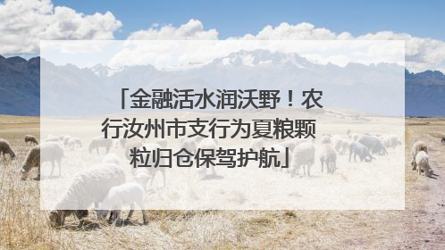 金融活水润沃野！农行汝州市支行为夏粮颗粒归仓保驾护航