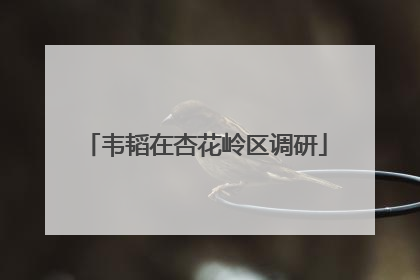 韦韬在杏花岭区调研