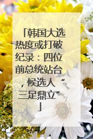 韩国大选热度或打破纪录：四位前总统站台，候选人“三足鼎立”