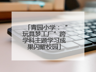 青园小学：“玩具梦工厂”跨学科主题学习成果闪耀校园