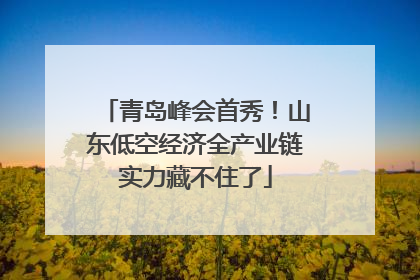 青岛峰会首秀！山东低空经济全产业链实力藏不住了