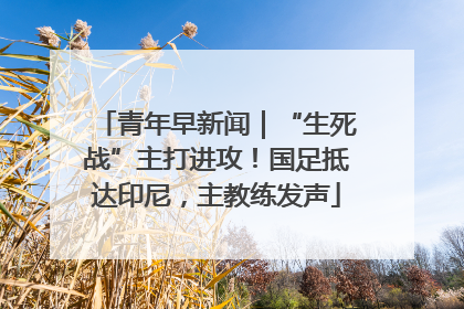 青年早新闻｜“生死战”主打进攻！国足抵达印尼，主教练发声