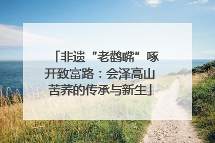 非遗“老鹳嘴”啄开致富路：会泽高山苦荞的传承与新生