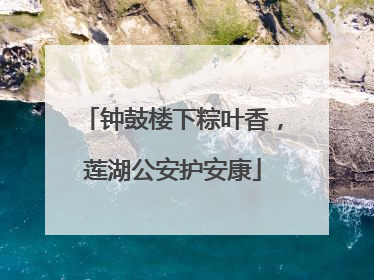 钟鼓楼下粽叶香，莲湖公安护安康