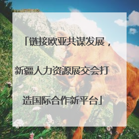 链接欧亚共谋发展，新疆人力资源展交会打造国际合作新平台