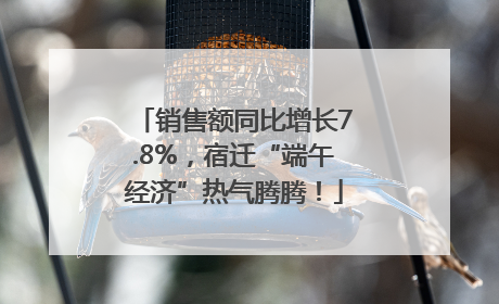 销售额同比增长7.8%，宿迁“端午经济”热气腾腾！