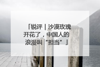 锐评｜沙漠玫瑰开花了，中国人的浪漫叫“担当”