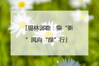 锡林郭勒：乘“新”风向“绿”行