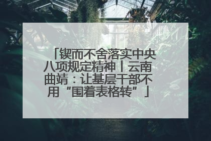 锲而不舍落实中央八项规定精神丨云南曲靖：让基层干部不用“围着表格转”