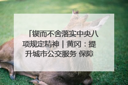 锲而不舍落实中央八项规定精神｜黄冈：提升城市公交服务 保障出行“大民生”